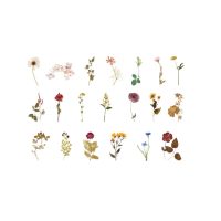 Autocolante de Scrapbooking - Flori 08, 40 bucăți