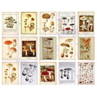 Hârtie decorativă în bloc - Tip C, 60 bucăți