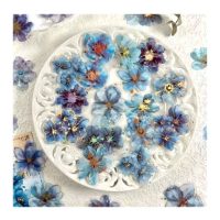 Abțibăcuțe cu flori pentru scrapbooking - Albastre, 20 bucăți