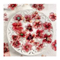 Abțibăcuțe cu flori pentru scrapbooking - Roșii, 20 bucăți