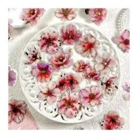 Abțibăcuțe cu flori pentru scrapbooking - Roz, 20 bucăți