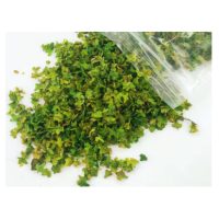 Scrapbooking miniaturi frunze - Numărul 1, verde