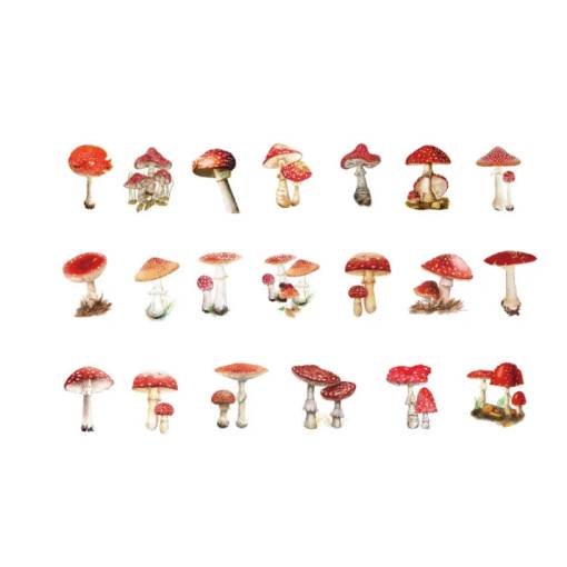 Foto - Autocolante de Scrapbooking - Ciuperci 04, 40 bucăți