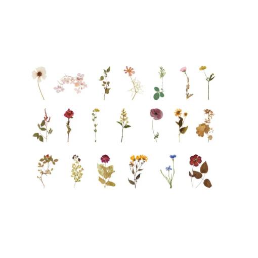 Foto - Autocolante de Scrapbooking - Flori 08, 40 bucăți
