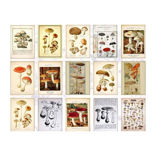 Foto - Hârtie decorativă în bloc - Tip C, 60 bucăți