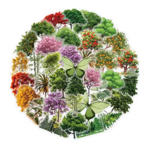 Foto - Autocolante cu temă de pădure - 50 bucăți