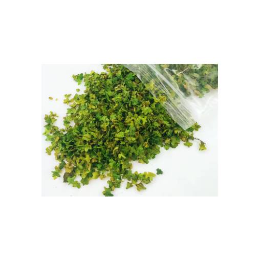 Foto - Scrapbooking miniaturi frunze - Numărul 1, verde