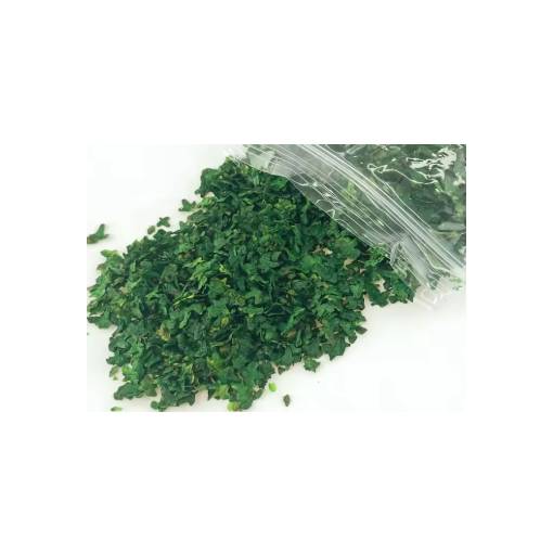 Foto - Scrapbooking miniaturi frunze - Numărul 2, verde închis