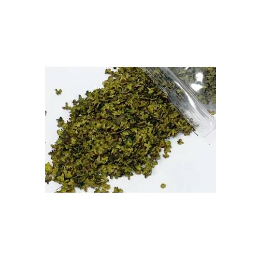 Foto - Scrapbooking art miniaturi frunze - Numărul 7, verde măsliniu