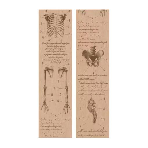 Foto - Scrapbooking Vintage bandă adezivă - Anatomia corpului, 01