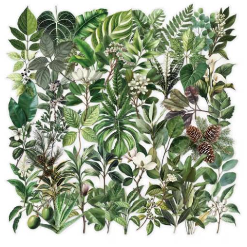 Foto - Autocolante de scrapbooking - Plante verzi, 50 bucăți